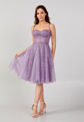 Short Tulle Dress