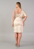 Long Sleeve Short Dress