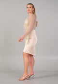Long Sleeve Short Dress