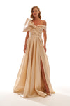 Maxi Dress organza