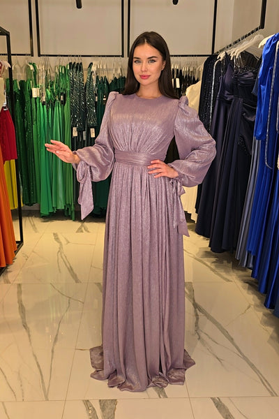 Organza Chiffon Long Sleeve Maxi Dress